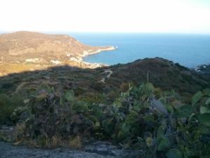 IMG 20160802 073424