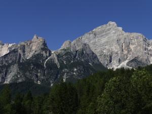 P1020319