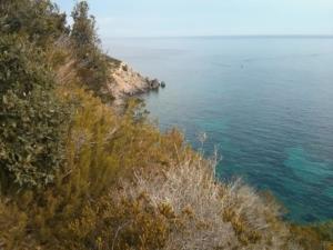 IMG 20160805 084043