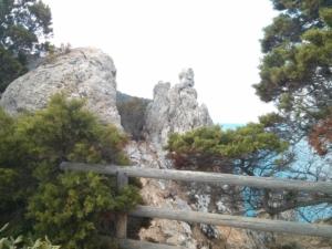 IMG 20160805 085159