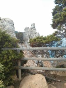 IMG 20160805 085210