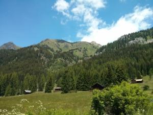 IMG 20160708 125125