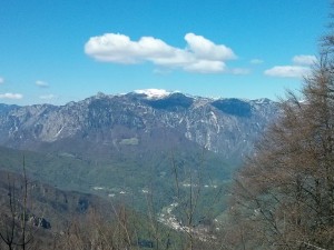 IMG 20170429 105417