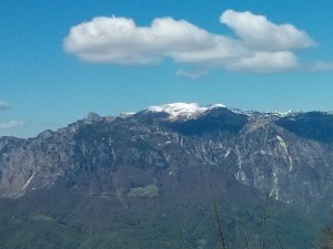 IMG 20170429 105434
