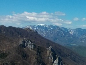 IMG 20170429 105450
