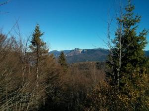 IMG 20171024 102528